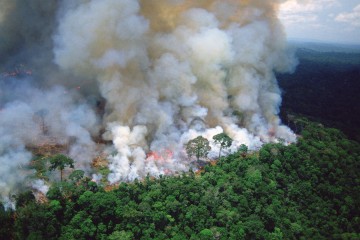 Incendies en Amazonie au Brésil : la faute à Bolsonaro ?